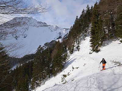 Steil oder auf dem Wirtschaftsweg geht es durch den Wald