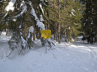 Wir folgen den Wegweisern zur Rofansiedlung