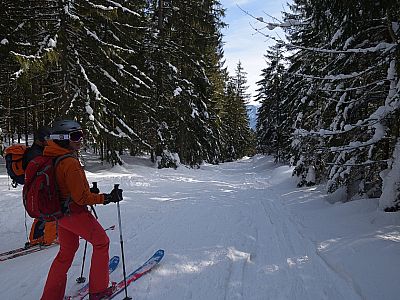 Flach führt am Ende der Tour der Weg durch den Wald