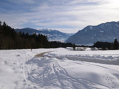 Neben der Straße fahren wir weiter bis zur Rofansiedlung