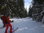 Flach führt am Ende der Tour der Weg durch den Wald