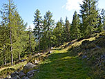 ...und folgen einem Karrenweg zu einem Waldstück