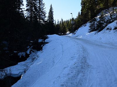 ... und steigen zunächst über die Rodelbahn nach Süden auf.