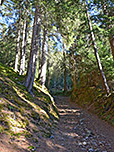 Am Hof schlagen wir den Waldweg ein...
