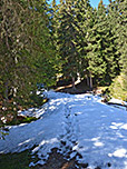 Durch den Wald geht es weiter...