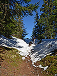 ...und verlassen den Bergwald