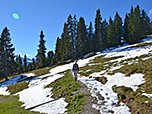 Der sonnenverwöhnte Weg...