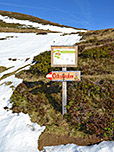 Wir gehen links am Wegweiser "Ochsenalm" vorbei...