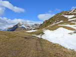 Der Wiesenpfad mündet in eine gewalzte Trasse