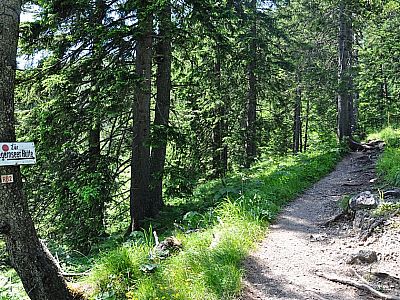 gewinnen wir schnell an Höhe.