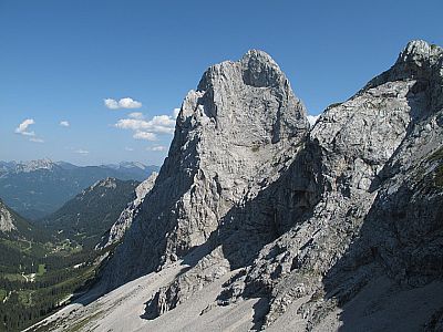 Immer wieder zieht der Gimpel den Blick auf sich
