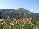 Blick zur Krinnenspitze