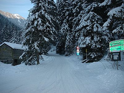 Unteres Ende der Rodelbahn