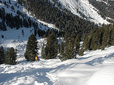 Auf einen kleinen Bach zu