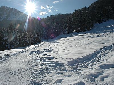 weiter die Forststraße runter fahren