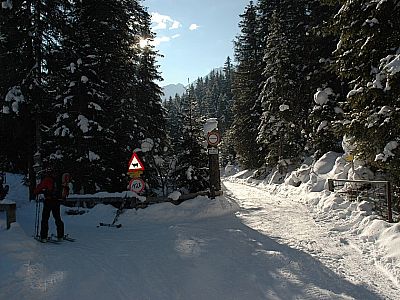 An der Abzweigung vom Aufstieg