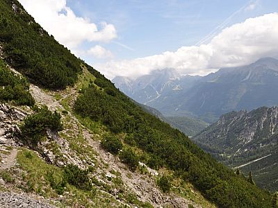 führt durch Latschen und ...