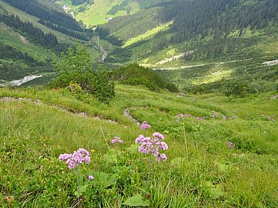 In zahlreichen Serpentinen geht es 