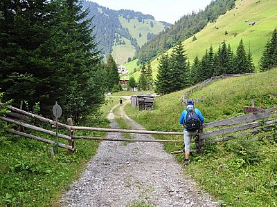 Tor kurz vor der Teerstraße