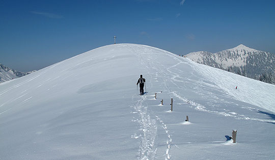 Rotkopf