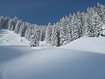 ...und winterlich