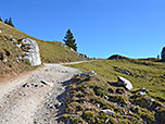 ...und wandern über den breiten Schotterweg...