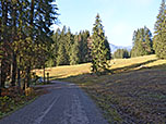 Wir verlassen die Teerstraße über einen Forstweg...