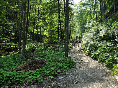 ... links abzubiegen.