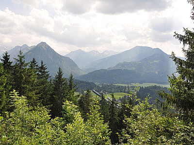 Zwischen den Bäumen sind die Skisprungschanzen zu sehen.
