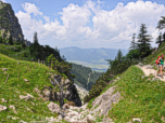 Blick zurück ins Illertal.