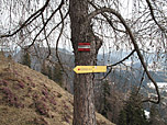 Der Weg ist bestens ausgeschildert...