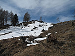 Nach dem Wiesenhang...