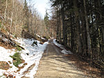 ...mündet in einen Forstweg