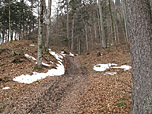...und steigen über einen Waldpfad weiter bergauf