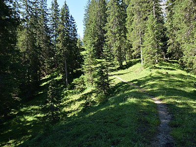 An einer Scheune vorbei führt uns ein Weg in den Wald
