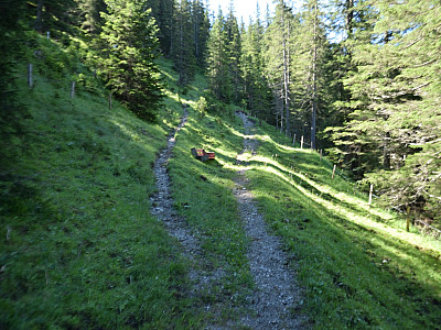 Wir halten uns links auf demoberen Weg und kreuzen wenig später eine Forststraße