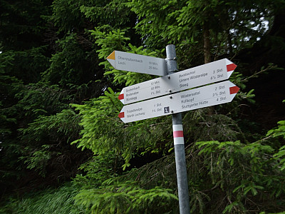 Hier verlassen wir nach links den Weg und überqueren den  Walkerbach