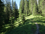 An einer Scheune vorbei führt uns ein Weg in den Wald