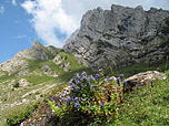 Alpstein-Impressionen