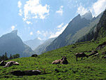 Ein erster Blick zum Gipfel des Säntis