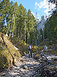 Wir passieren ein letztes Waldstück