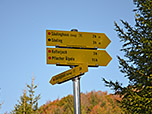 ...und verlassen diesen nach kurzer Zeit...