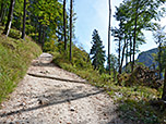 Der Weg führt uns kurz darauf wieder vom Bachgraben weg