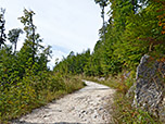 Wieder zurück am Forstweg