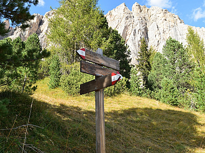 Wir marschieren auf dem Weg Nummer 8 weiter geradeaus