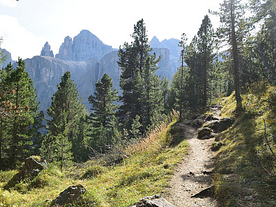 Der Weg wird wieder schmäler, bleibt aber leicht
