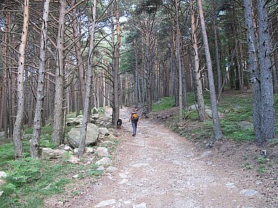 Zuerst durch Bergwald...