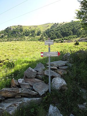 Wegweiser auf der Alpe