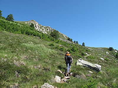 In Serpentinen den Grashang empor