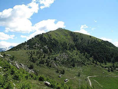 Monte Berlinghera